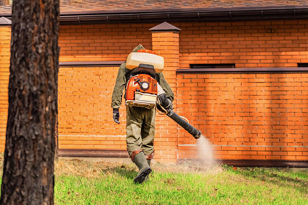 Top rated local Ant Control specialists in Bonnie Brae, IL